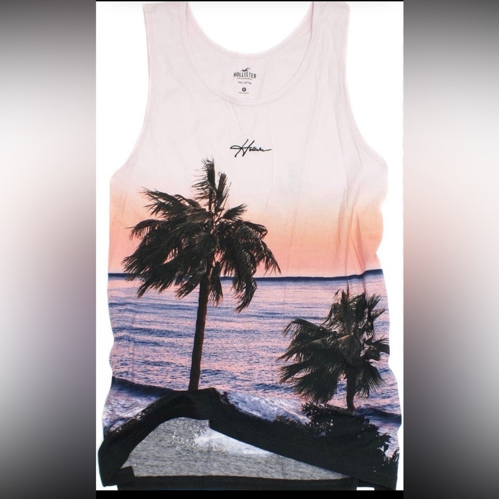 Hollister Lightweight Sunset Palm Tree Tank Top